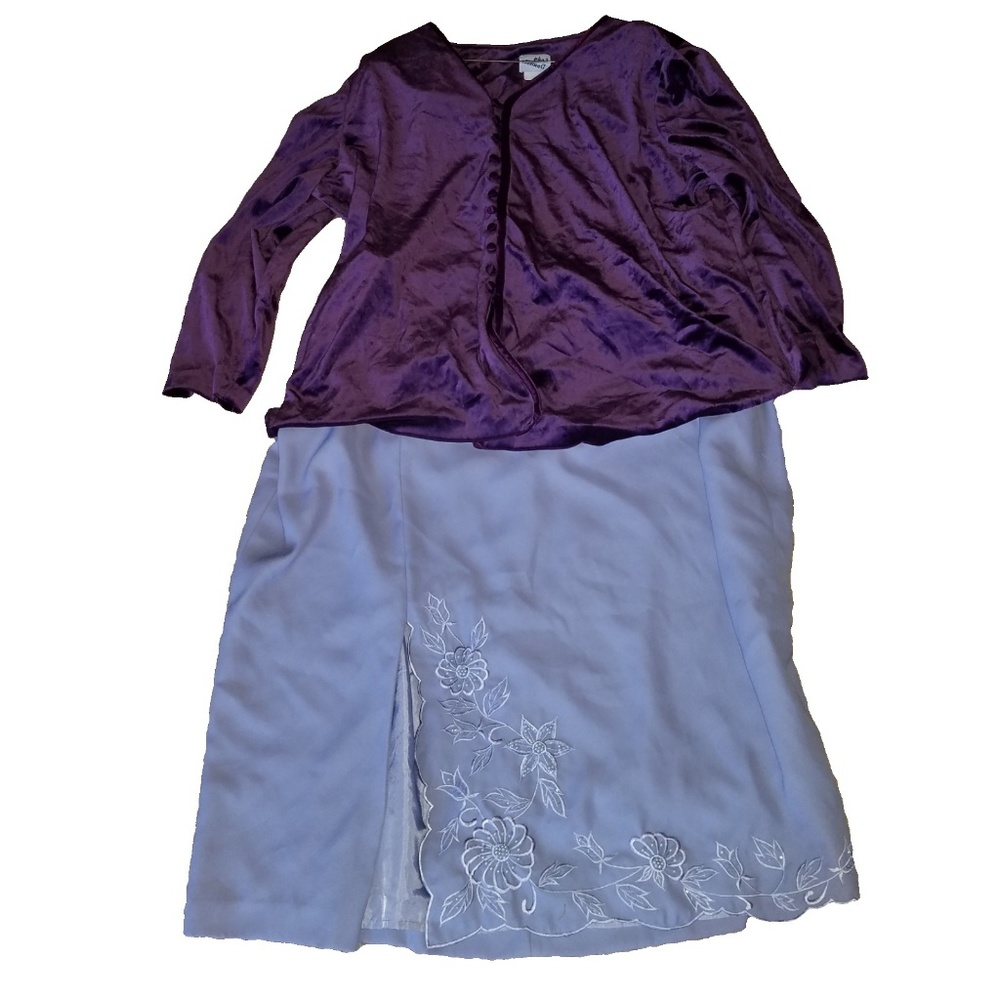 Purple Velvet Top and Beaded Skirt Set